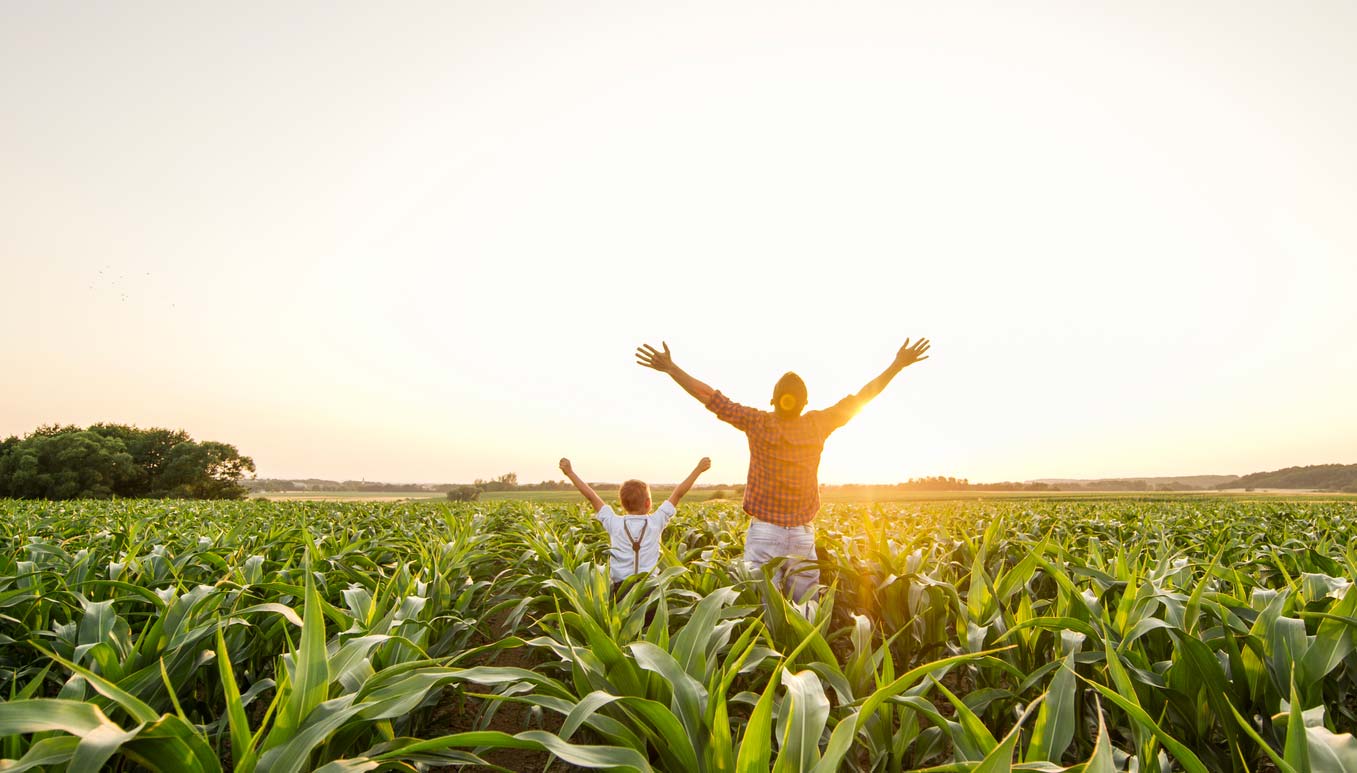 sunset view of father and son in a corn field