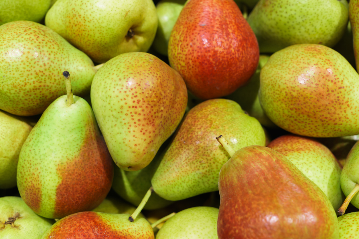 Fresh ripe multi-colored pears in a box.