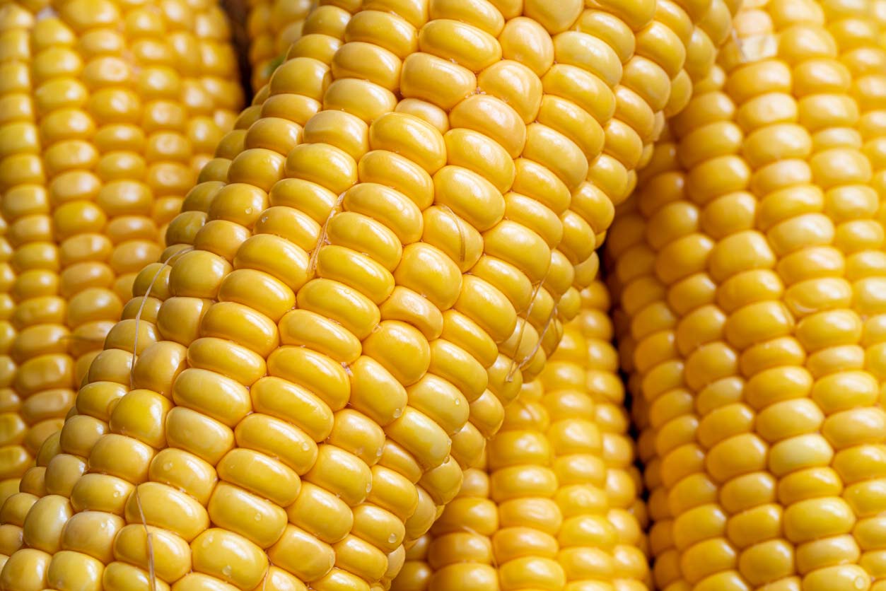 Clean 15 - Sweet corn
