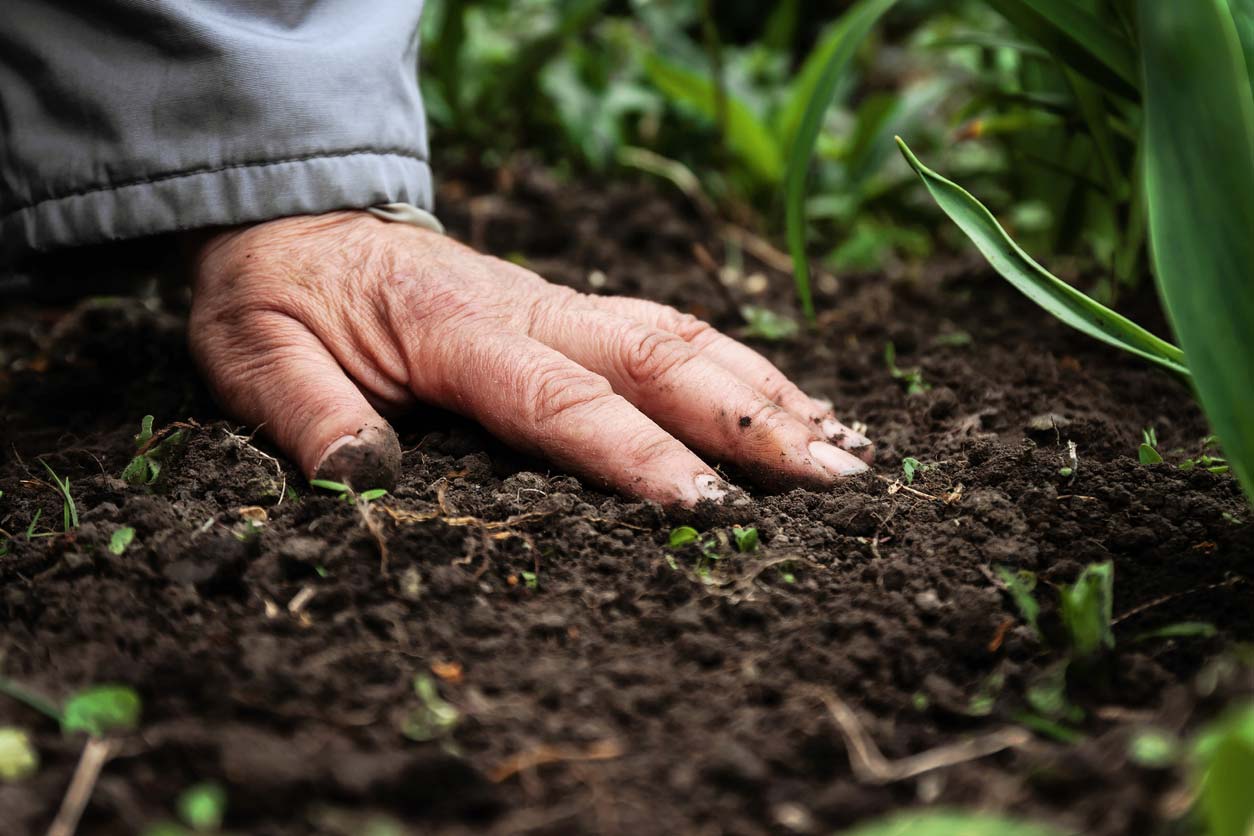 close up of hand on soil